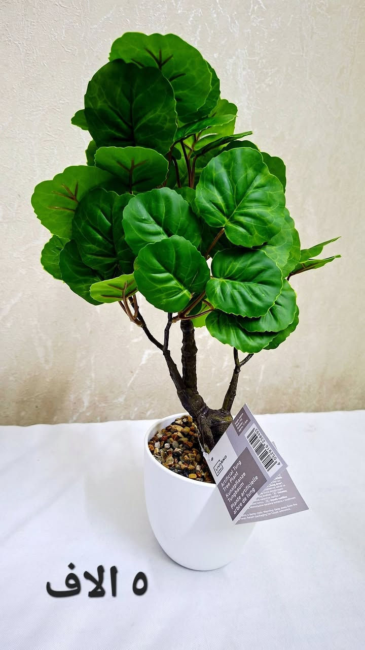 🔥 عرض خاص ومحدود 🔥 
اي قطعه داخل المنشور بس بـ 5000 دينار 😍💥
فرصتك تاخذ أكثر من قطعة بسعر خرافي!
✔️ سعر مناسب للجميع
✔️ الكمية محدودة
لا تفوت الفرصة ✋
راسلنا خاص واحجز قبل النفاذ 📩


**إذا كنت صاحب هذا الإعلان وتريد حذفه لأي سبب، رجاءا أرسل رسالة إلى الدعم الفني**