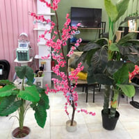 اشجار صناعيه ٣ قطع ترهم بل بيت او صالونات  للبيع سعر مناسب  خاص وتساب ...
