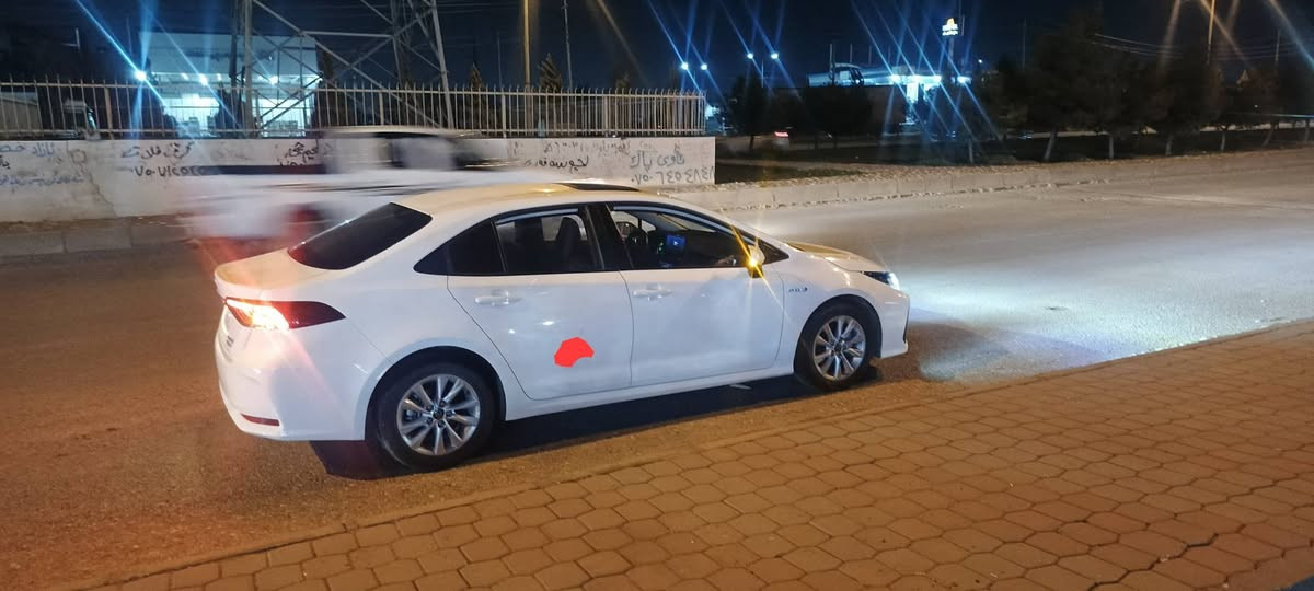 توێتە کروڵا هایبرید شکل خەلیجی فوول فوول ناو سۆر تەنها دوو پەنجە ساردی هەیە نیشان کرایە باقی هەموو گیانی بەشەرت نرخی152مەجالێکی زۆر کەم  شوێن هەولێر ***********
*********** أربيل, العراق
