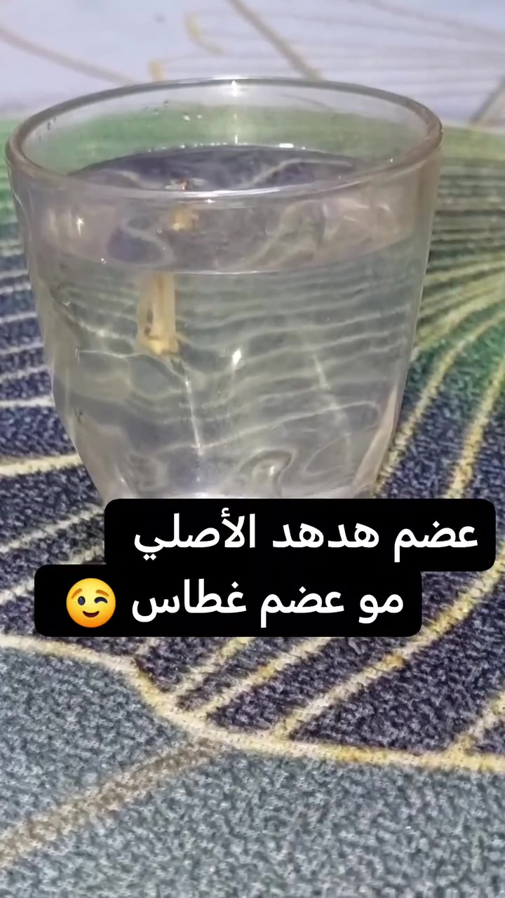 للبيع تجي تفحص بيدك وتاخذ للبيع مكاني بغداد مدينه الصدر لا يوجد توصيل


**إذا كنت صاحب هذا الإعلان وتريد حذفه لأي سبب، رجاءا أرسل رسالة إلى الدعم الفني**