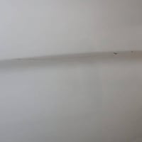 نيسان 25 • ٤٢٠٠٠ كم • رقم أربيل