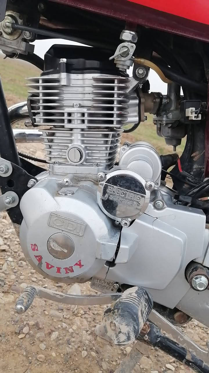 السلام عليكم دراجه سيفان موديل 19 اورق كاملة تيرات جدد مكينه خير من الله كهربائيت كلها شغاله لا تبخير لا تنقيص اتصال على هذا الرقم***********
