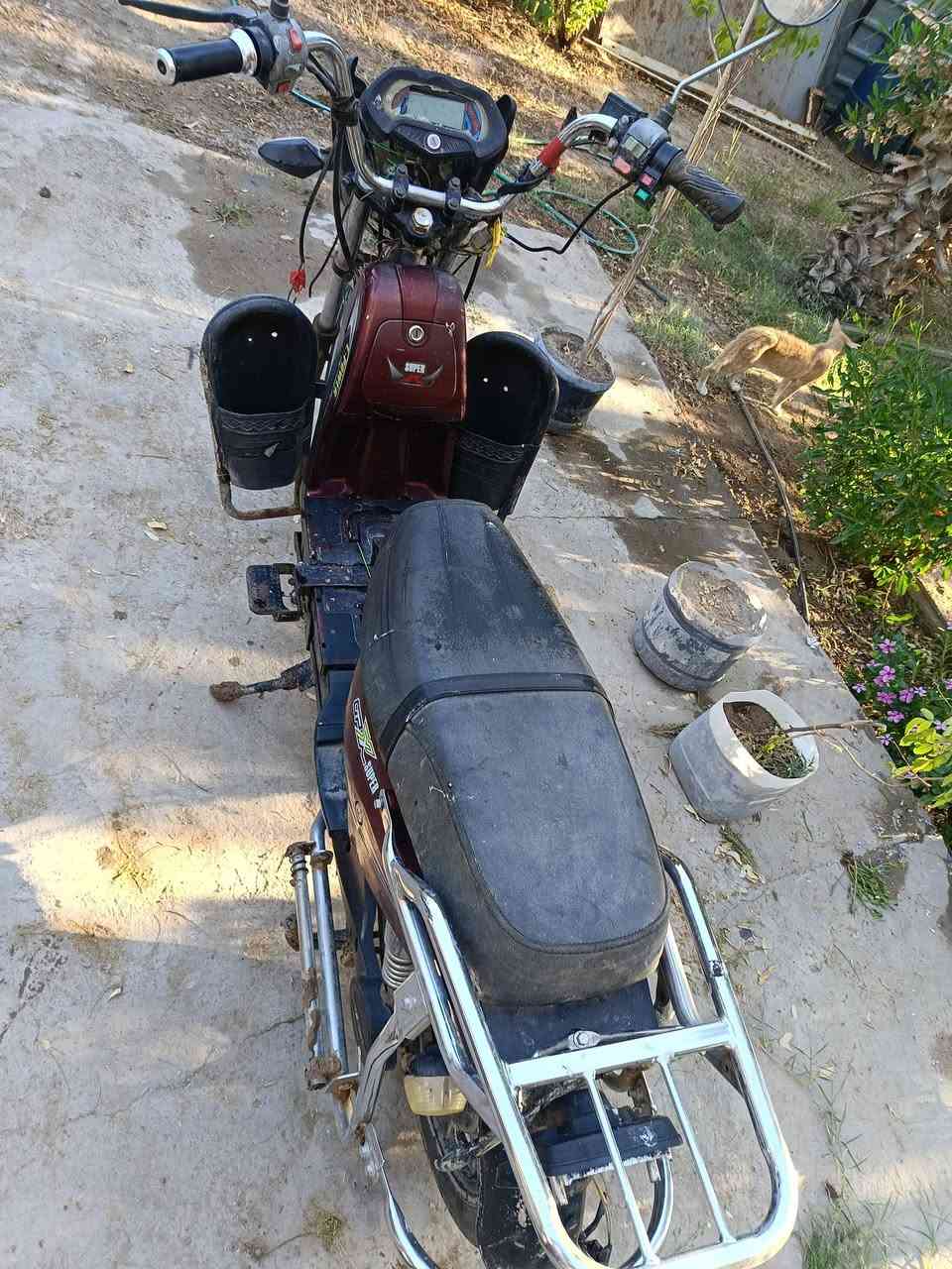 ملف شغال عقل شغال تايرات نظاف  بدون بطاريات كان متروك  لبيع. قيم واخذة


**إذا كنت صاحب هذا الإعلان وتريد حذفه لأي سبب، رجاءا أرسل رسالة إلى الدعم الفني**