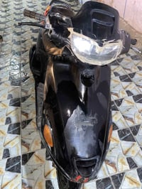 دراجة فراشة • فحل • الديوانية جمهوري