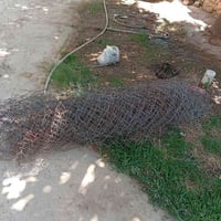 بروانه • متر ونص • متر و80