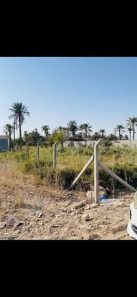 خلف مدرسه الواثق • نص دونم • طابو