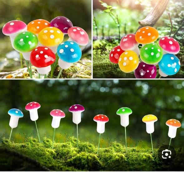 ❤️لكثرة الطلبات 🌹
🪴يتوفر لدينا جميع اكسسوارات نباتات وسنادين بلاستك نوعيه ممتازه 🦊🪴 🐼 
🚕توصيل كل محافظات العراق 🚕 
🪴الزرع لعرض فقط 🪴 
يتوفر جمله ومفرد 🐼 🦊 
حجز على خاص ☎️
📞***********📞

🐼تتوفر لدينا جميع اكسسوارات نباتات 🐼
🪴و سنادين مختلف الأشكال والأحجام والألوان 🕊️🐝🐞🐦🕊️🦋🐦🐞🌿🍄🕊️🐞🦋🐦🍄🌿
متوفر دعسوقات 🐞 🐞🐞🐞
ونحلات لاصقه 🐝🐝🐝🐝🐝
وفراشات 🦋🦋🦋🦋🦋🦋
فطر زينه 🍄🍄🍄🍄🪴💕
1-🐼باندا او سنجاب 🐼 
 2- فطر جيس الف🍄
3-🐞دعسوقه صغير حمراء ٤٠ قطعه با الف🐞
4-🐞وسط ٢٠ وسط جيس الف 🐞
5-🐞دعسوقة خشن ١٠ قطع با الف 🐞
6-🐞دعسوقة ملون ١٠ قطع الف🐞
7-👍كف ١٠ قطع الف 👍
8-🐦عصفور ٥٠٠ القطعه 🐦
9-🪴غصن مترين رفيع  الواحد الف 🪴
10-🎊نشر ضوئيه مترين الف 🎉🎊
11-🌹🐝نحله صفراء ٤٠ قطعه با الف🌹🐝
12-🌹🍄نحله وسط ١٥ قطع الف🐝🐝
13-🌹🦋🦋🌹فراشه عاديه لصق وجهين و مغناطيس ١٠ قطع با الف🦋
14-❤️جيس ١٠ قطع  ماسك لبلاب كف 
١٠ قطع الف👍
15-🍄١٠ قطع فطر اكبر شويه الف 🍄
16-🕊️حمام وسط الف🕊️
17-🕊️حمام كبير الفين 🐝🕊️
18-🪴ماسك لبلاب الف 🌿
🦋
19- فراشات سيم صغيره  ٤ سم 4 با الف🦋
🦋٧ سم ٣ با الف🦋
🦋٨ سم و ٩ سم  ٢ با الف🦋
20-فطر ملون صغير 10 با الف🍄
21-دعسوقة ام عوده ملون جيس 10 قطع الف
22-فطر احمر كبير او صغير جيس الف🍄
23-فطر ملون  صغير او كبير جيس الف 🍄
24- دعسوقة كبير جدا الوحده الف 🐞
25-حجر مضيئه جيس الف 🟣🔵🎊🎉
26- حجر ملون فقط جيس الف 🔵🟣🎊

🪴الزرع لعرض فقط🪴 
#توصيل كل #محافظات_العراق
#بغداد #ناصريه #نباتات #ديوانيه #زرعاتي #سنادين_ورد #ديكورات #نباتات_منزلية_داخلية #نواعم #بابل #البصره #ديالي #واسط #المثني #ديكورات_خشب
#سناد #سناد_زرع #نباتاتي
