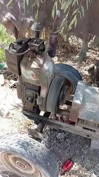 مولده للبيع 10حصان  توليد 10كيفي السعر 500وبيه مجال الستفسار 078279546...