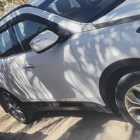 سنتافيا • ٢٠١٣ • رقم أربيل