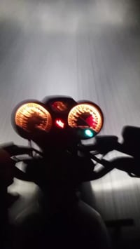 شاينك • ٢٠٢٤ • مرقمه