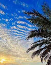 للبيع دونم ونص  وجه شارع عام شارع المطار الرئيسي  واسط الصويره  سند 25...