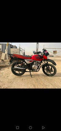 بوكسر • فحل • MTR