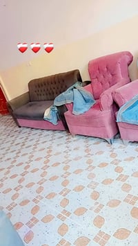 تخم تركي • حي البتول • بيه مجال