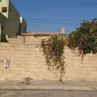 حي البكر يم • ٣٣٠م • طابو زهور