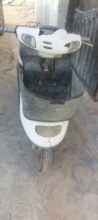 منغولي • شاصي مكفول • سيف سعد