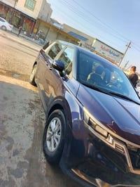 كرنفال • ٢٠٢٤ • ٧ راكب