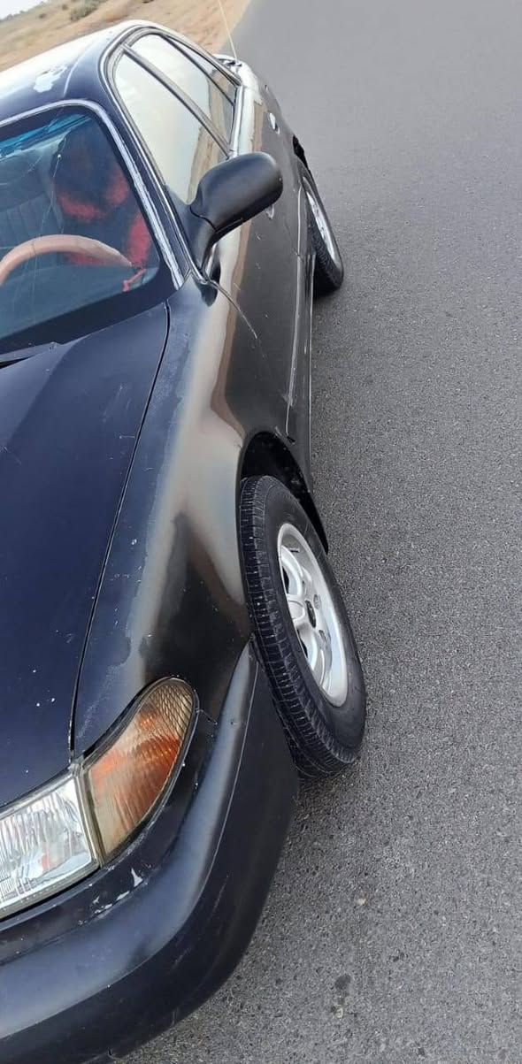 السلام عليكم 
للبيع او مراوس سوناته موديل 94رقم بغداد خصوصي مشروع وطني تخم تاير  مكينه وكير كفاله صدر خلفي امامي جديد دواخل خير من الله كهربائيات كلهه شغاله سياره مال جناي السعر 43وبيهه مجال  للستفسار 
 ***********
 ***********
