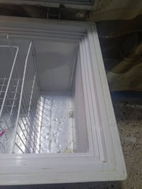 مجمدة • للبيع