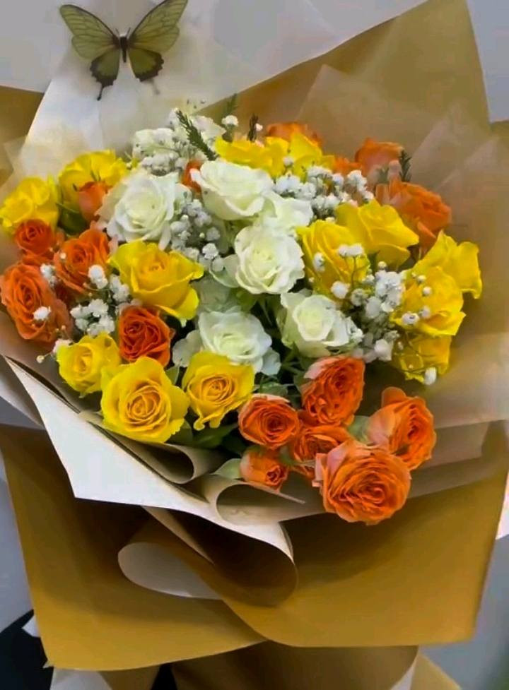 بيج عالم الورود هلوبنات هذا شغلي حسب الطلب ورد


**إذا كنت صاحب هذا الإعلان وتريد حذفه لأي سبب، رجاءا أرسل رسالة إلى الدعم الفني**