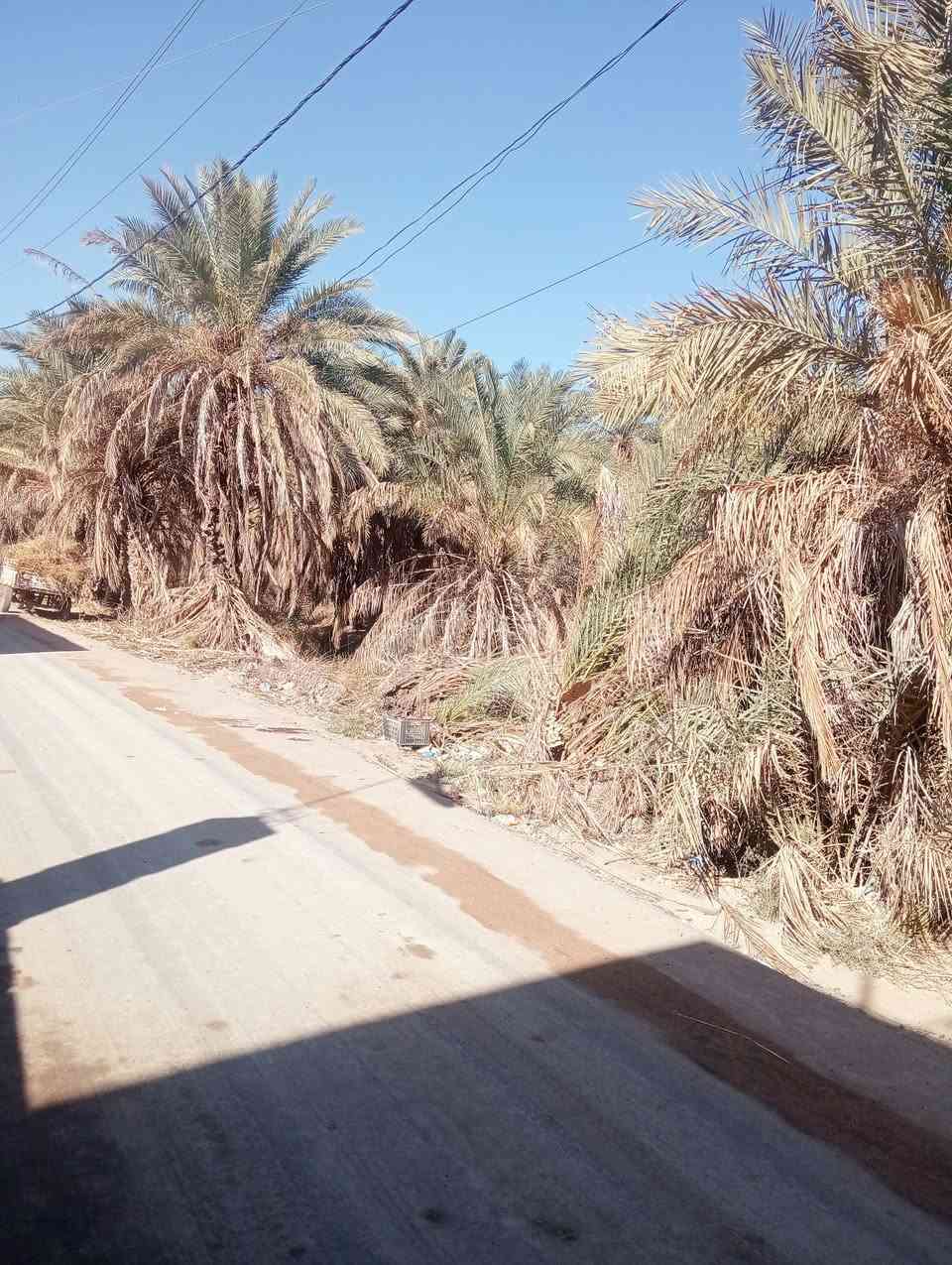 السلام عليكم اخوان بستان  للبيع المساحه1100 منطقة البوعظم صوب الشاميه قرب مدرسة الحكمة قرب شط الفرات خدمات كاملة الاستفسار على الرقم  واتساب ***********
