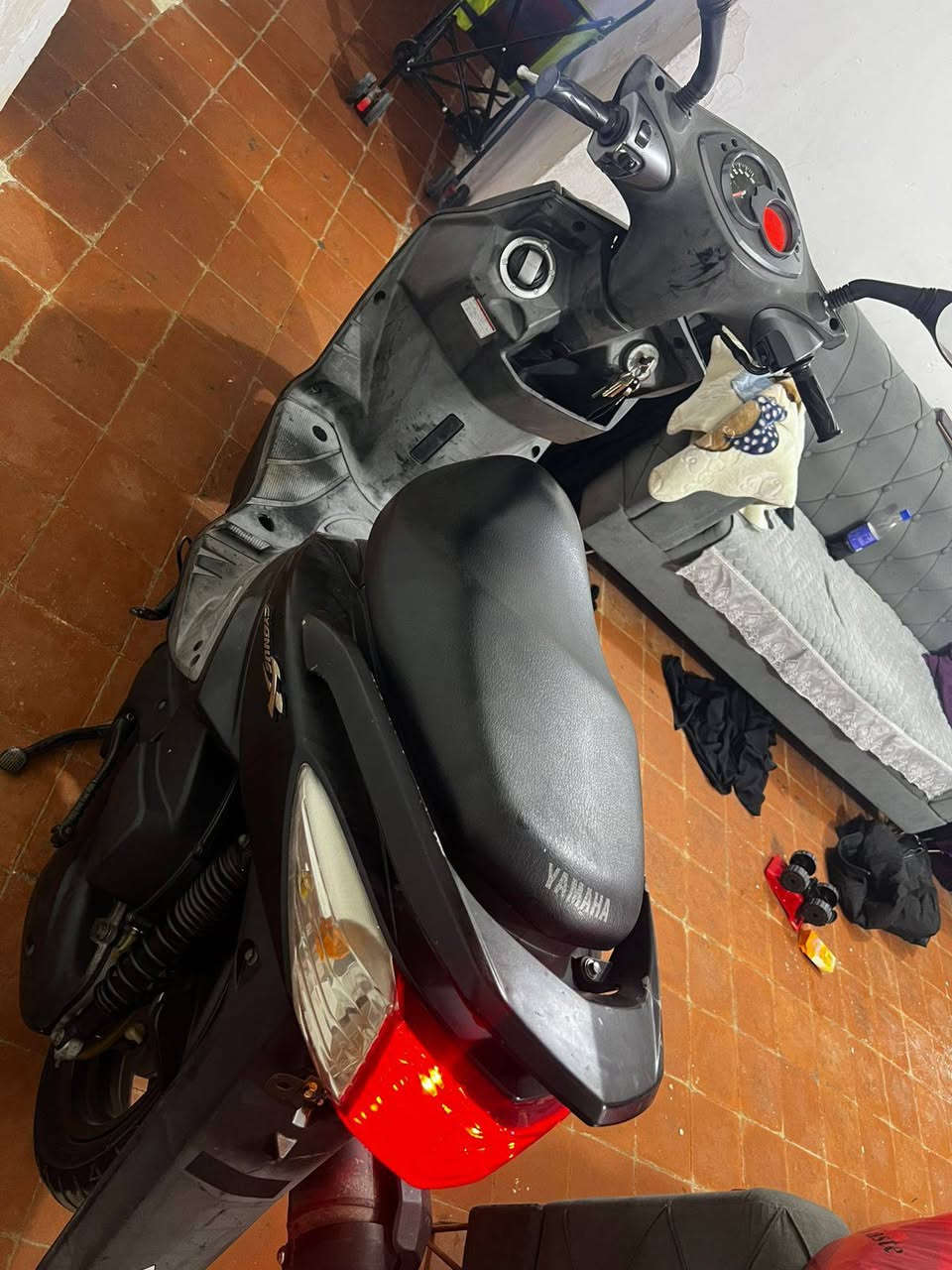 السلام عليكم 

سكنز فحل ياباني قبخ نفخ
مال رمبه ما صارلي شهر من طلعته 
مكفوله الدراجه 
سعر خاص او تصل على رقم *********** مكاني بابل مركز مدينه
