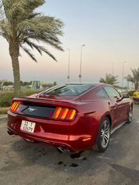 من رخصة الادمن   عندي موستنك 2017 ايكو بوست حادثها بسيط اريد مراوس بفو...