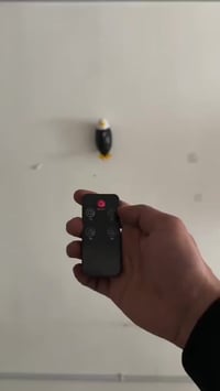 اناره صقر • توصيل • ديكور