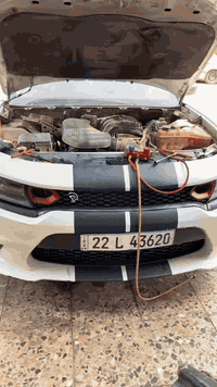 بغداد شارع النضال القصر الابيض مجاور مدرسه السعدون
‭0770 241 7827
*********** ‬
