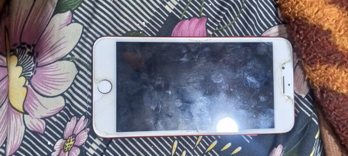 سلام عليكم ايفون سفن بلاس للبيع ذاكره 128 بصمه شغاله الجهاز كل شيء ما بيه الله شاهد شريحه تشتغل بي ينزل برامج وجميع البرامج ينزلهن نت بدل بطاريه وشاشه الاصليات شرط شحن كلش حلو الله شاهد للبيع ومراوس بجهاز سعره 90 وبي مجال مكاني بصره ابو الخصيب جامع شهيد طه


**إذا كنت صاحب هذا الإعلان وتريد حذفه لأي سبب، رجاءا أرسل رسالة إلى الدعم الفني**