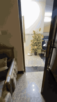 السلام عليكم بيت للبيع 241 متر 600 شارع ابو عبير قرب حديقه الغدير واجه 6 نوب 12 *********** طابق واحد 2نوم استقبال حولي كبير 3ترك مطبخ حار وبارد صحيات داخليه وخارجيه وغرفه مخزن سندويش بسطح ارفع المنشور بكلمه يالله وممنو ن من الجميع
