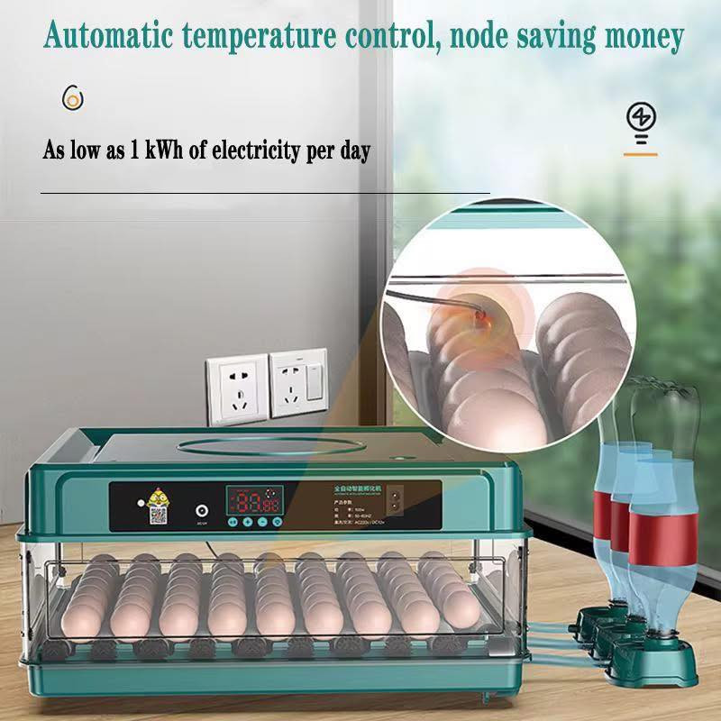 � ابدأ مشروعك اليوم مع فقاسة البيض الأوتوماتيكية! 🐣
🎉 عرض خاص لمدة أسبوع فقط!

💥 السعر: 90 ألف بدل من 120 ألف دينار! 💥
📦 مع توصيل مجاني لحد باب بيتك!

✅ سعة 50 بيضة
✅ تقليب أوتوماتيكي + تحكم بالحرارة
✅ مناسبة لبيض الدجاج، البط، السمان وغيرها
✅ سهلة الاستخدام ومثالية للمربين والمشاريع الصغيرة

⏳ سارع بالطلب – العرض مستمر لمدة أسبوع فقط!
🐣 ابدأ مشروعك من بيتك وحقق أرباح ممتازة بأبسط الإمكانيات


**إذا كنت صاحب هذا الإعلان وتريد حذفه لأي سبب، رجاءا أرسل رسالة إلى الدعم الفني**