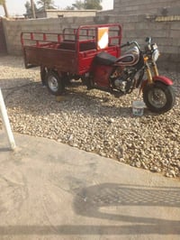 موديل16 • بدون وراق • العزيزية