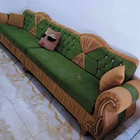 ديوان ١٢مقعد • شغل الموصل • زيتوني