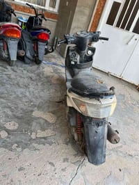 سكنس فحل • كابريتر • للبيع
