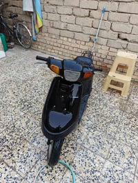 بترا • نضيفة • شغالة