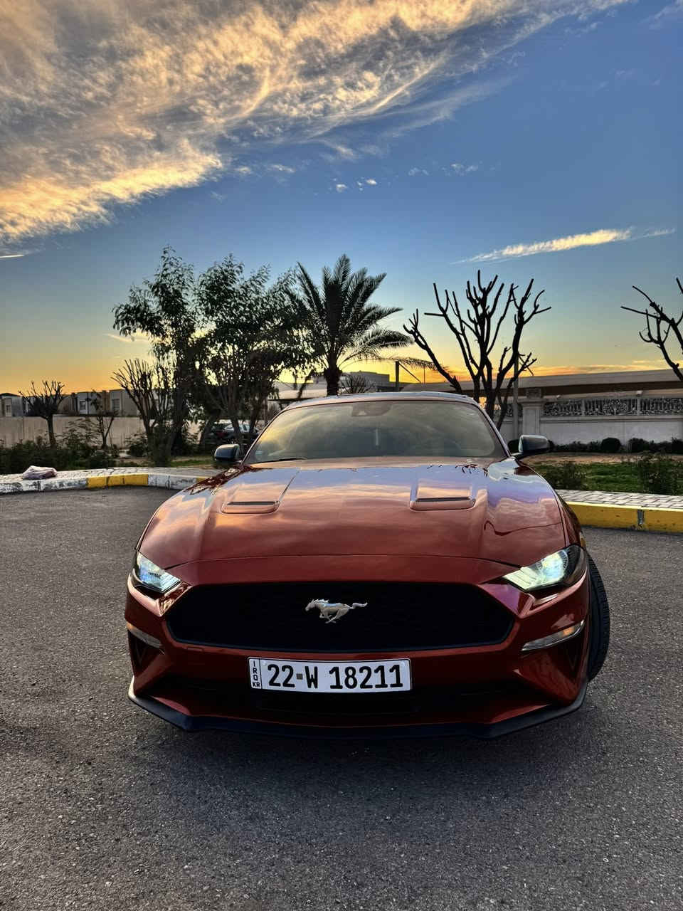للبيع
‏Ford Mustang EcoBoost 2023
لون احمر غامق كلش مميز 
الحادث تعديل بارد فقط وصبغ بنيد بدون ايرباكات وبالفحص طلع بيهه كلير امريكا جاملغ وباب  
- السعر:  192 ورقه وبيه مجال بسيط 
- *مرقمة أربيل الرقم الجديد 
- الممشى: 18،000  فقط  
- المحرك: 2.3L Turbo  اربعة سلندر 
- 5 وضعيات قيادة  
-بصمة تشغيل 
- شاشة جبيرة تدعم Apple CarPlay 
-تبريد منفصل 
-كاميرا خلفيه دواره
-حساس خلفي 
-تحكمات ستيرن 
-مانع تصادم
-محدد مسار 
-تصحيح مسار 
-مانع انزلاق 
-حساس دخول الانفاق 
-مثبت سرعة 
- نظام رادار أمامي + جانبي + خلفي  
-جام فول اوتوماتك 
- تحديد مسار + نظام تتبع + تحديد مسافة أمان  
-دخول ذكي 
-كشنات كهرباء 
- لايتات زينون أصلية   
موقع السيارة: أربيل
 ***********
‏1fa6p8th6p5112715
