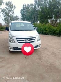 ستاركس • ٢٠١٦ • واسط مصفره