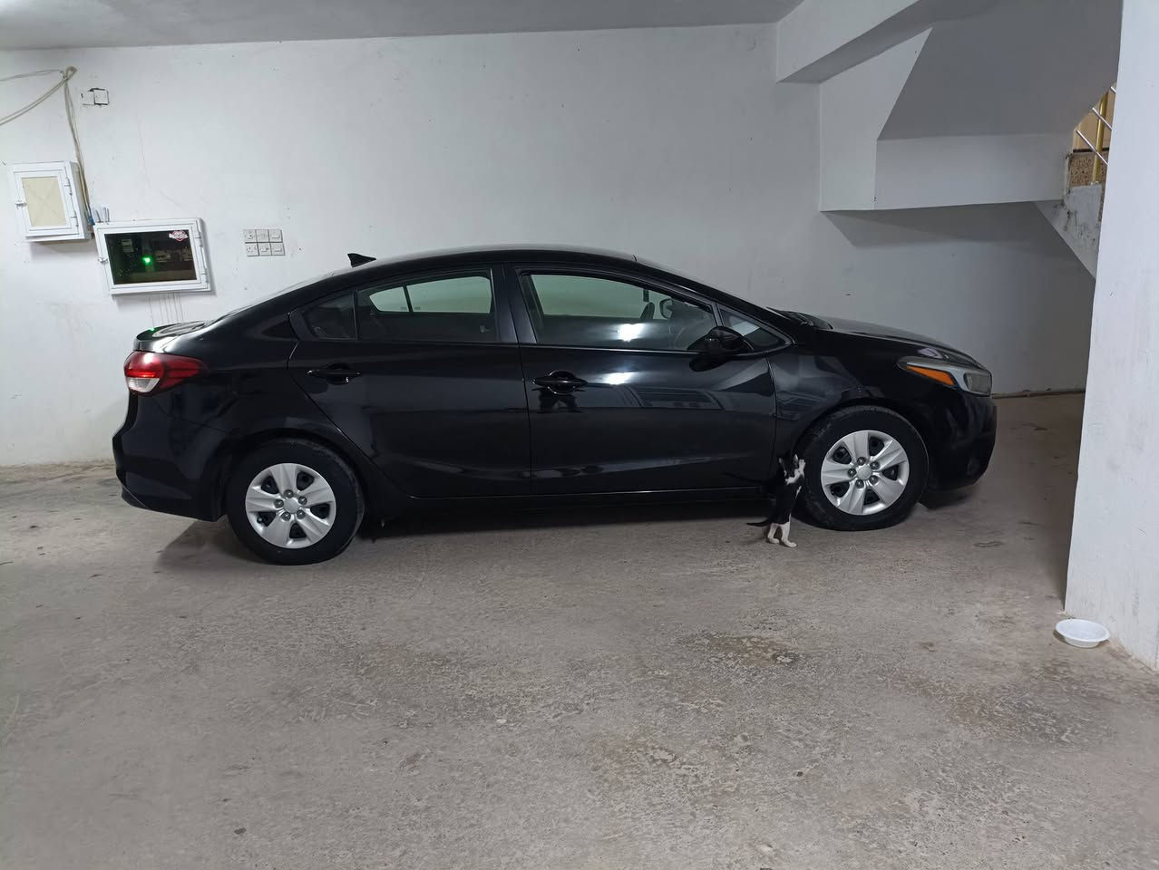 كيا فورتى موديل 2018 محرك 2.0 دوش
كير at
 ماشية 75 الف ميل بدون صبغ بيهه تعديل نص بنيد وكم طعجة بالسقف بدون حالوب شرط 
محرك ما مفتوح
 رقم قديم سنوية ساقطة تحويل شرط مكانها دهوك 
سعر 111 ومجال
***********
