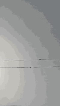 مرخصت مدير الكروب اربعه نامه البيع مديل 2026كفاله عامه درجه وراقه ضايع...