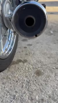 دراجة رابيدو R • أوراق • ناصريه