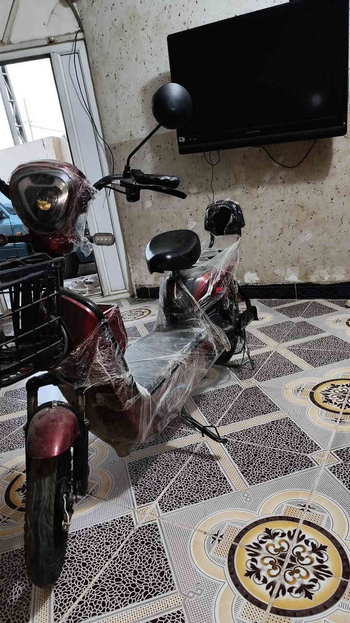 السلام عليكم
اخوان دراجه شحن للبيع حجم14

نوعها: HTS

سرعتها 50

بطاريه ليثيوم حجم 40

بصمات وسويچات 2

شخط واحد مابيها انطيها بل شرط من ناحيه كلشي كهربائياتها تايراتها بريك 

سعرها 250الف 

الرقم: ***********

مكاني كركوك/القادسيه الثانيه
