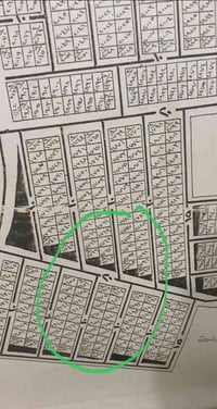 الامانة الزعفرانية • ١٠٠م • ٥×٢٠