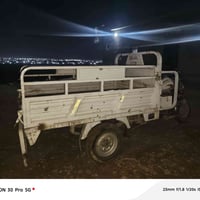 ستوتات • عوسجه جنوب الموصل • سعر خاص