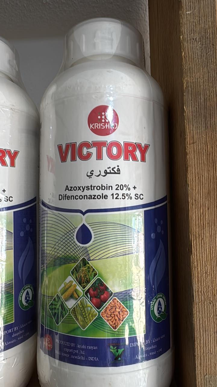 السلام عليكم اخواني الفلاحين والمزارعين 
بعد ان مّن الله تعالى علينا بنعمة الغيث يجب اتخاذ مجموعة من العمليات الزراعية لحقول الحنطة والشعير وهي 
1-بزل المياه المتجمعة في الحقول 
2-رش مبيدات فطرية بأسرع وقت ممكن لتلافي الإصابات الفطرية وخصوصاً الأصداء او التلطخ السبتوري او بياض السنابل الخ 
3-رش الحقول بالمنشطات وخصوصاً العناصر الصغرى وخاصة عناصر البورون والمغنسيوم والكالسيوم والزنك 
لزيادة عقد الأزهار والحصول على عدد حبوب اكثر 
4-رش الحقول بسماد عالي البوتاسيوم للحصول على حجم حبة اكبر ووزن نوعي عالي 
5-مراقبة الآفات الحشرية وخصوصاً المن حشرة السونة وزنبور الحنطة
اخواني هذا الأيام والمرحلة من عمر النبات لا تتحمل الإصابات او تأجيل المكافحة او تأخيرها لأنها فترة حرجة تحدد الناتج والحاصل وكل ما قدمته للحقل يمكن ان يذهب ويكون بدون فائدة لا سامح الله اذا أصيب الحقل بامراض فطرية او إصابة حشرية
مكتب الشمري الزراعي 
واسط/الزبيدية /شارع المعارض قرب السيطرة
هـ/***********
 م. علي حسين الشمري
