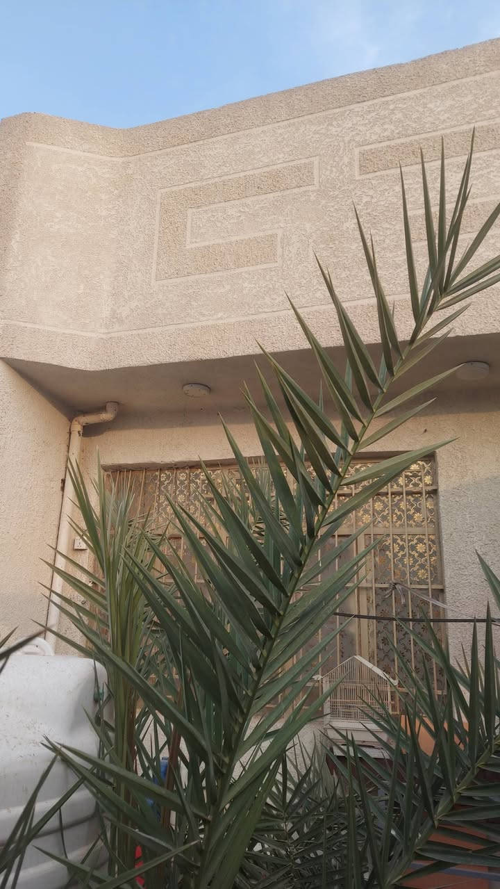 بيت للبيع بناء جديد كله طابوق مساحه 250 كرغوليه شارع الملح سند 25 مي خطين سعره 95 للاستفسار الاتصال ع هذا الرقم ***********
