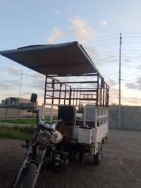 مرخّص • الرمادي البذياب • للبيع