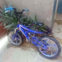 باسكل • بعقوبه • مستشفى الحيات الاهلي