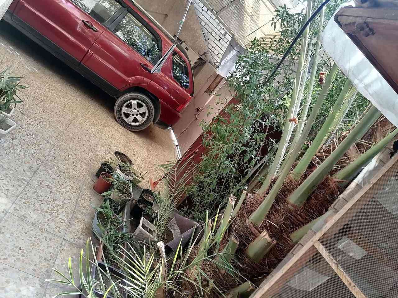 دار للبيع
المساحه ١٥٠ متر مسلح نضيف بناء 2008
الواجة 10 نزال 15
يحتوي على 
طرمه كبيره 
مطبخ 
صاله كبيره 
حولي 
٤ غرف نوم 
منور 
صحيات ٣ 
مخزن +صطح ع مساحه البيت 
المكان الحرية الثانية محلة 426 
بشارع ابو فراس ابو الفلافل الاتصال علة الرقم ‭٠٧٩٠ ١١٦ ٨٠٣٩
