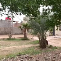 المدثره قرب المطحنه • دونم ونص • ٣ بيوت