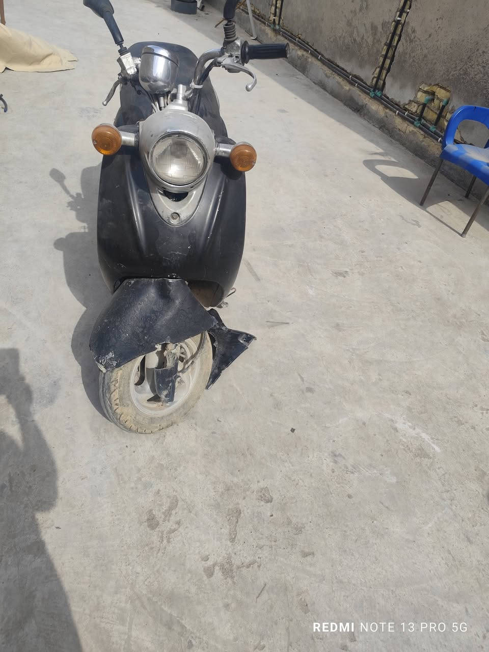 لبيع مصريه فحل سلف هدر شقال مكان كوت الفلاحيه 250بيهه مجال***********
